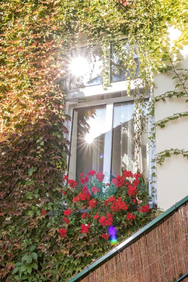 Cracow Best Location Apartment With Garden By Cozyplace クラクフ エクステリア 写真